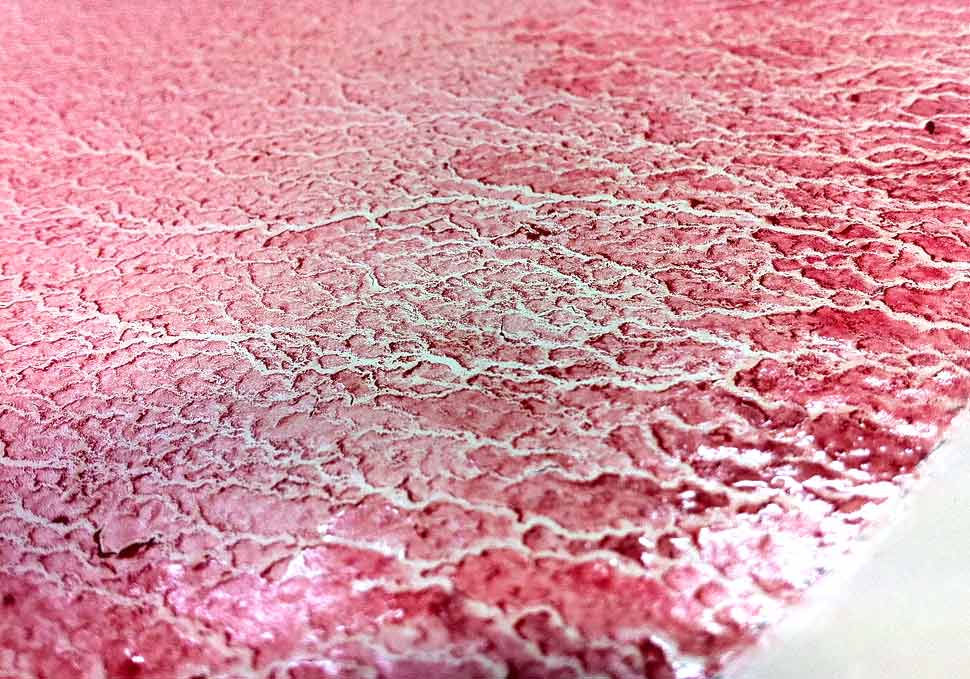 Art, detail of abstract oil painting by Maya Walker