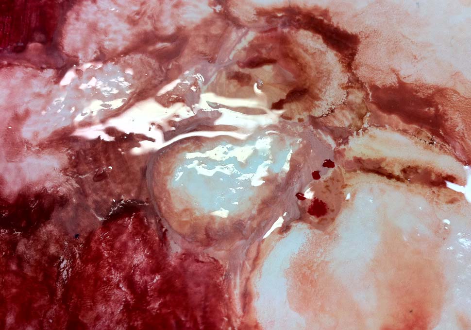 Art, detail of abstract oil painting by Maya Walker