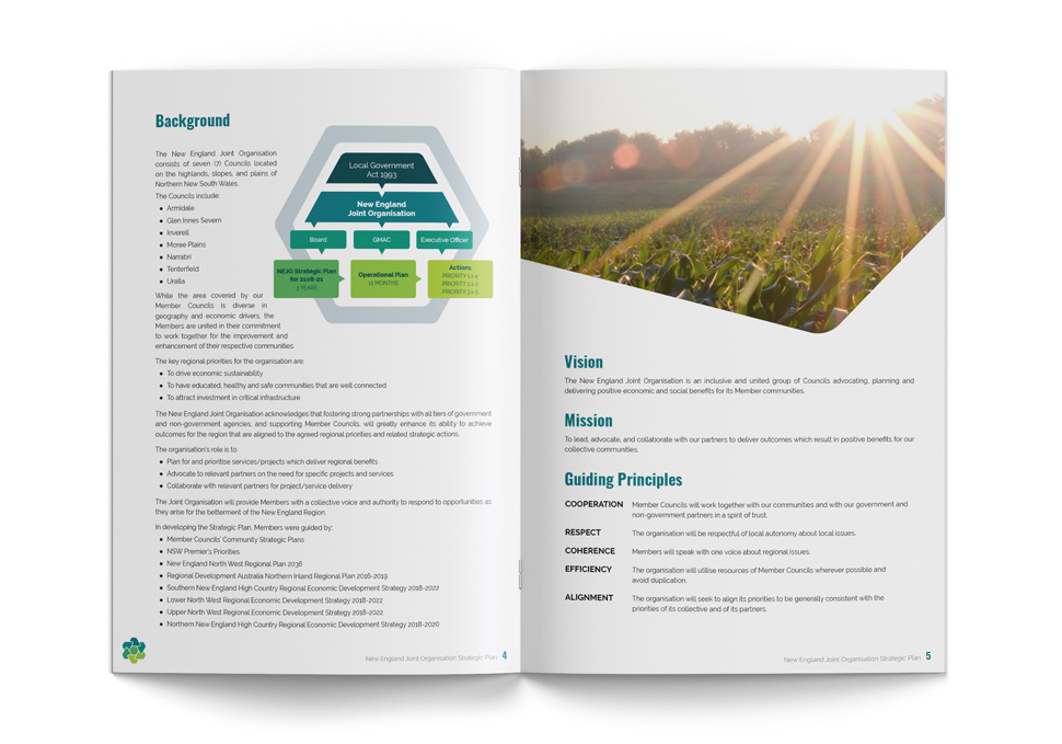 Graphic design, New England Joint Organisation Strategic Plan 2018-21 by Maya Walker